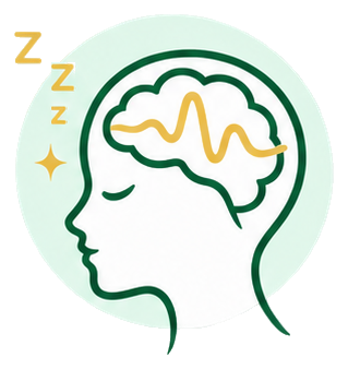 脳・睡眠